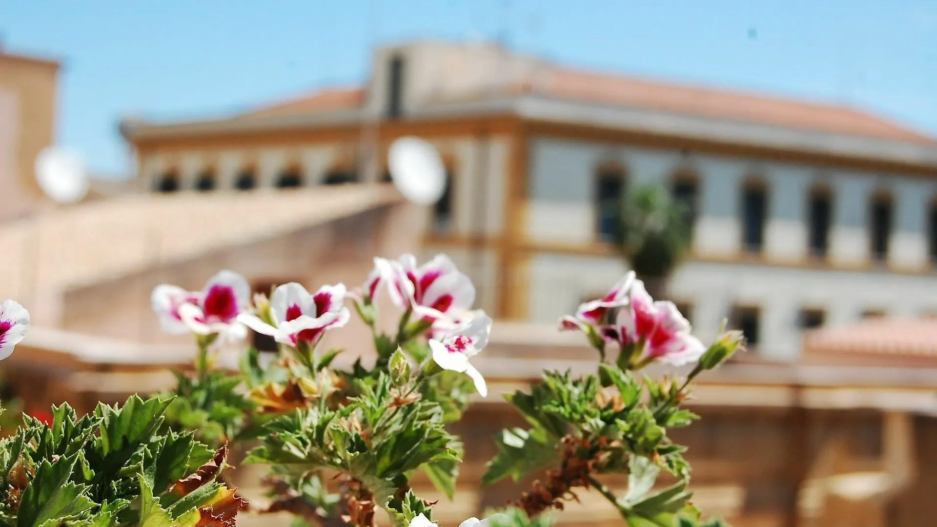 Portatenea - Atenea Collection Agrigento Bed & Breakfast
